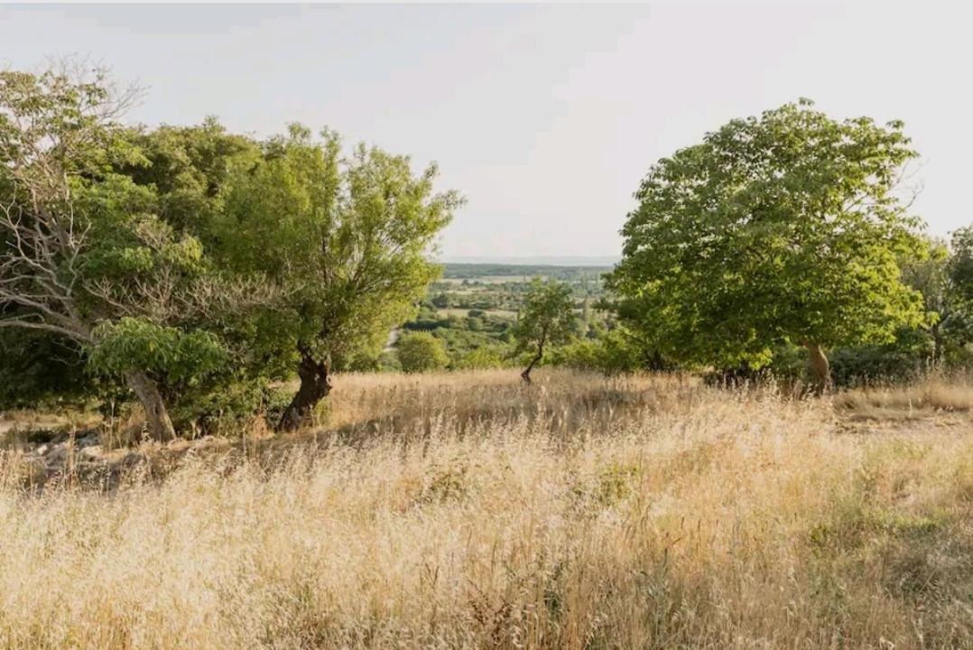 Kula Kula Atlagica المظهر الخارجي الصورة